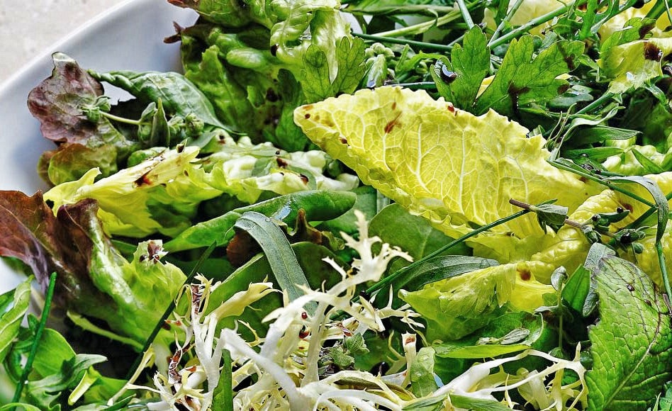 Cultiver De La Salade Toute L Annee Explications Des Bonnes